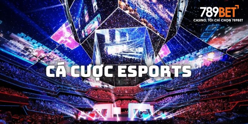 Cá cược thể thao điện tử 789Bet – Giải trí cực hấp dẫn - Ảnh 2