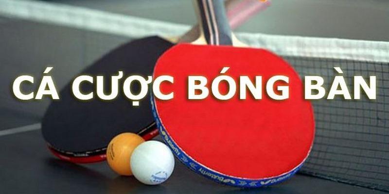 Bti Sports 8kbet - Kèo Thơm Mỗi Ngày, Nhận Thưởng Liền Tay - Ảnh 2