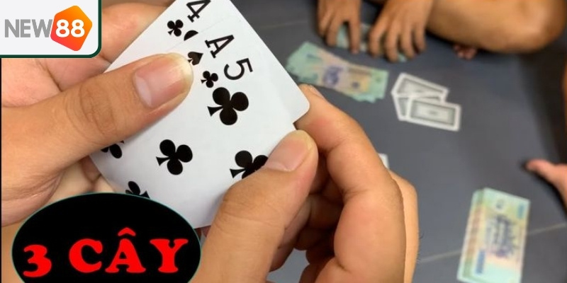 New88 vặt bài ba cây – Giải Trí Xuyên Suốt Các Mùa Lễ - Ảnh 3