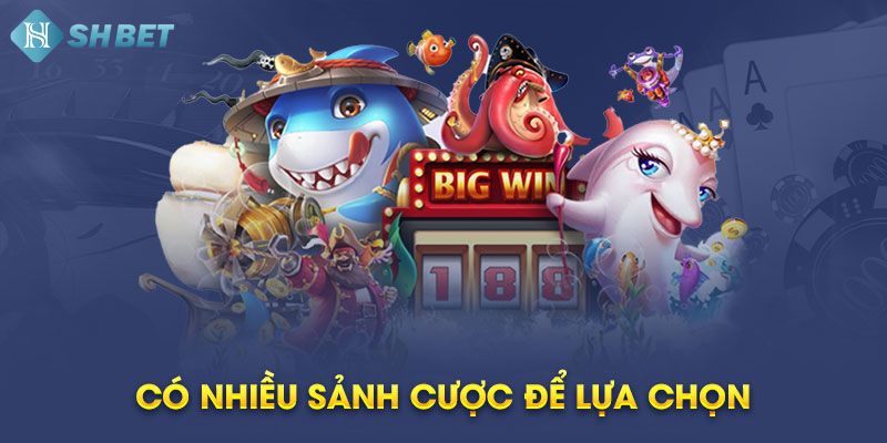 Bắn Cá Phát Tài Shbet - Trò Chơi Hấp Dẫn Và Cơ Hội Thắng Lớn - Ảnh 3