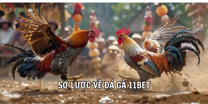 Đá Gà 11Bet - Thiên Đường Giải Trí Cuốn Hút Nhất 2025 - Ảnh 2
