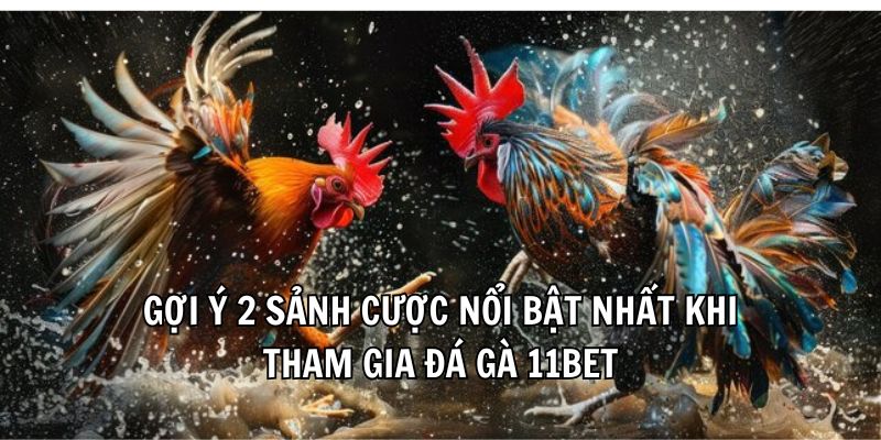 Đá Gà 11Bet - Thiên Đường Giải Trí Cuốn Hút Nhất 2025 - Ảnh 3