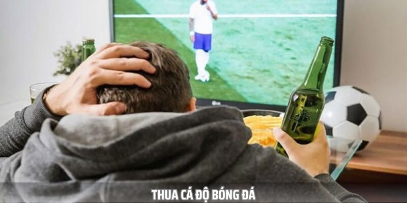Thua Cá Độ Bóng Đá - Sai Lầm Thường Gặp Và Bài Học Cần Nhớ