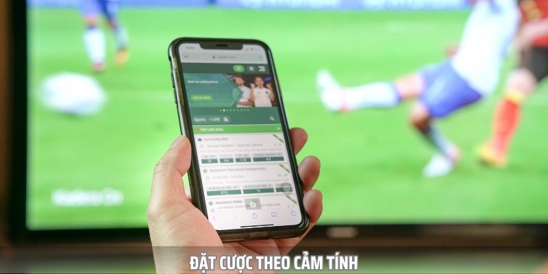 Thua Cá Độ Bóng Đá - Sai Lầm Thường Gặp Và Bài Học Cần Nhớ - Ảnh 2