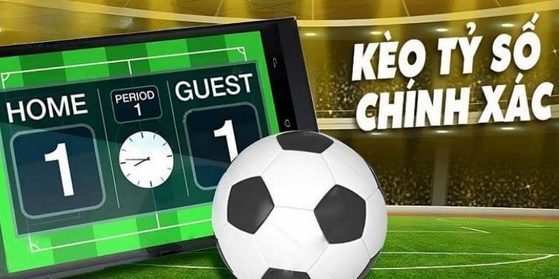 Sảnh thể thao T Sports - Sân chơi điểm mười cho chất lượng - Ảnh 2