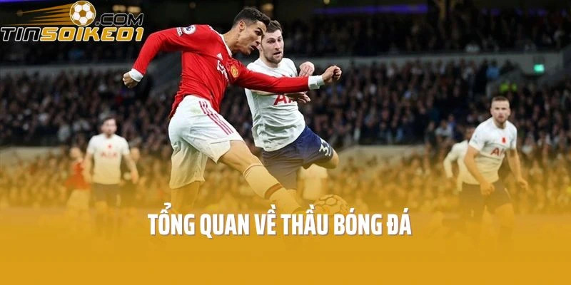 Thầu Bóng Đá Và Những Thông Tin Quan Trọng Cần Biết - Ảnh 1