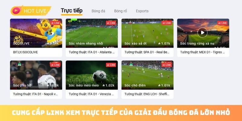 Socolive Trực Tiếp – Trang Xem Bóng Đá Hot Nhất 2025 - Ảnh 4