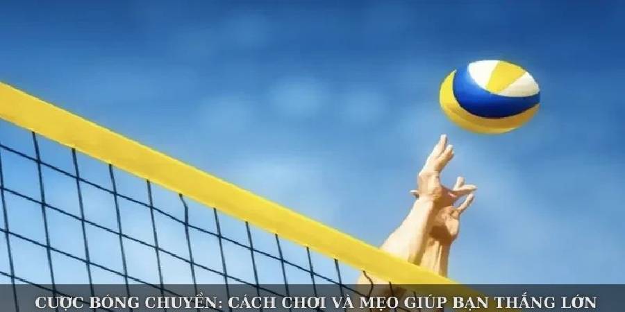 Cược Bóng Chuyền: Cách Chơi Và Mẹo Giúp Bạn Thắng Lớn