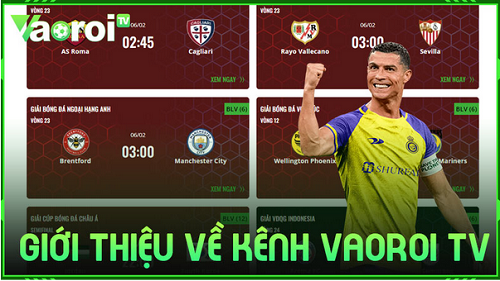 VaoroiTV - Vaoroi.lat: Đối tác đáng tin cậy cho người hâm mộ bóng đá - Ảnh 1