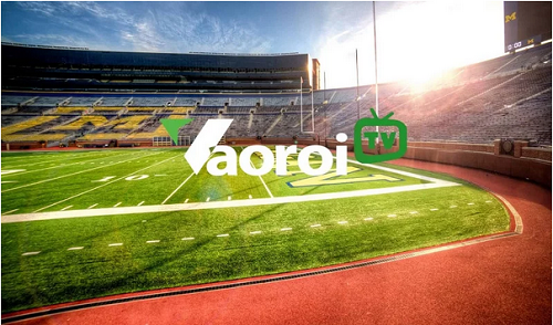 Vaoroi TV - Link xem trực tiếp bóng đá Vaoroi tất cả giải đấu  - Ảnh 5