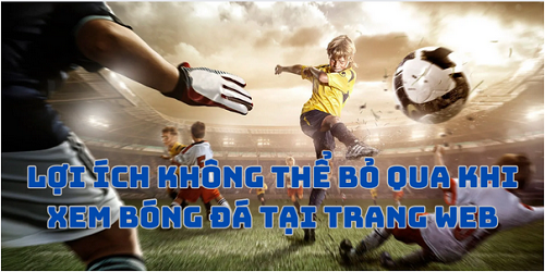 Xem bóng đá tại VeboTV - Địa chỉ TTBD vebo-ttbd.xyz 2024 - Ảnh 3