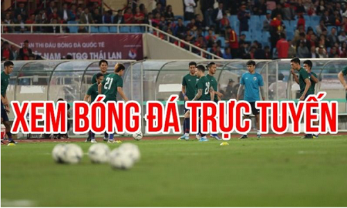 Sức hút và tầm quan trọng của xem bóng đá trong thể thao cùng xembongda-xoilac.live - Ảnh 2