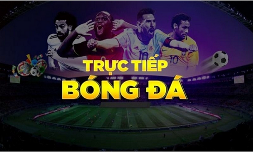 Website xem bóng đá trực tiếp chuyên nghiệp và an toàn - Ảnh 1