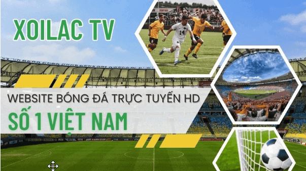 Xoilac TV - trang trực tiếp bóng đá số 1 tại Việt Nam - Ảnh 2