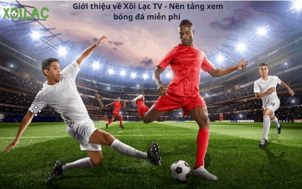 Xoilac TV - Website xem bóng đá trực tuyến 699 giải bản quyền - Ảnh 1