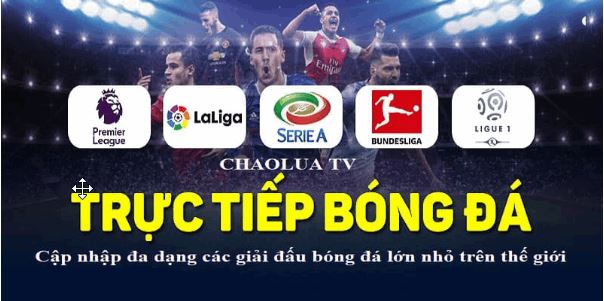 Xoilac TV - Website xem bóng đá trực tuyến 699 giải bản quyền - Ảnh 2