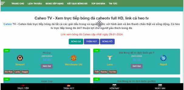 Caheo TV - Trang web hàng đầu để xem bóng đá tại Việt Nam - Ảnh 1