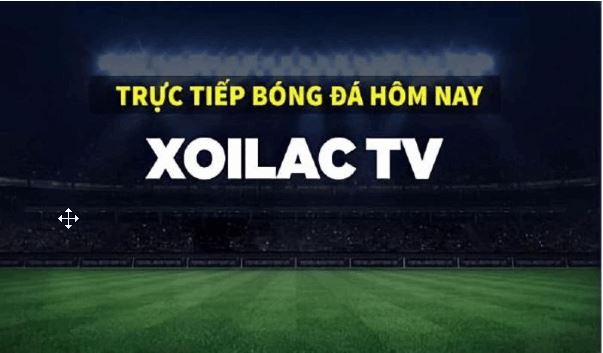 Hướng dẫn xem trực tiếp bóng đá tại Xoilac TV: Thưởng thức trải nghiệm bóng đá tuyệt vời - Ảnh 1