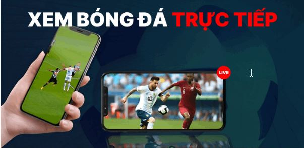 Mitom - trực tiếp bóng đá với chất lượng số 1 hiện nay! - Ảnh 1