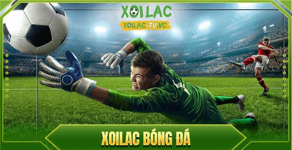 Xoilac TV: cập nhật liên tục thông tin thể thao 24/7 miễn phí - Ảnh 2