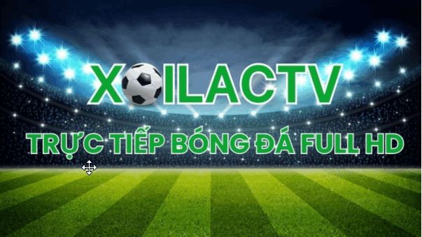 Xoilac TV: cập nhật liên tục thông tin thể thao 24/7 miễn phí - Ảnh 3