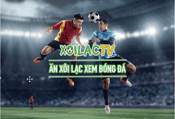 Xoilac TV - Trang web dành riêng cho fan bóng đá - Ảnh 3