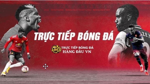 Trực tiếp bóng đá Socolive TV - Sự lựa chọn hàng đầu cho người hâm mộ - Ảnh 2