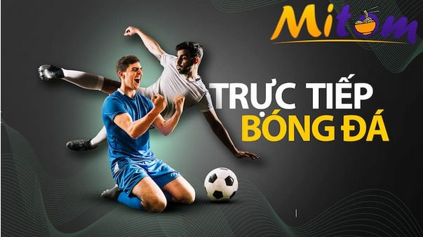 Mitom TV - Ứng dụng xem bóng đá hàng đầu Việt Nam - Ảnh 1