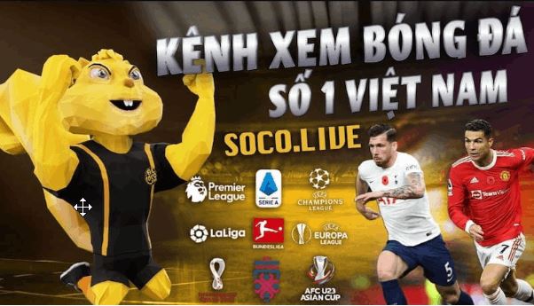 Nền tảng trực tiếp bóng đá Socolive TV phát sóng với chất lượng hàng đầu - Ảnh 2