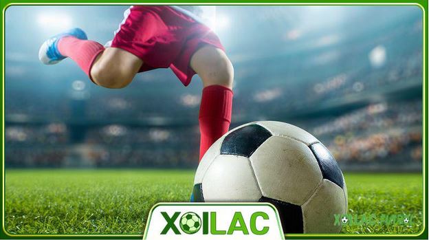 Thế giới bóng đá tại đầu ngón tay của bóng đá trực tiếp Xoilac TV - Ảnh 1