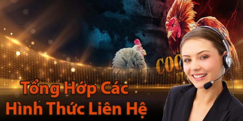 Những Điều Cần Biết Về Nhà Cái SV388 Không Nên Bỏ Qua - Ảnh 3
