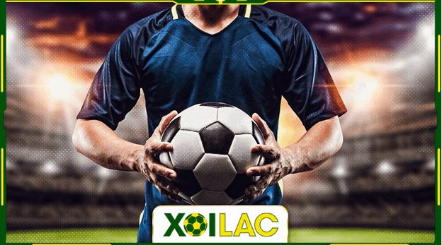 Link xem trực tiếp khai mạc Euro 2024 không bị chặn tại xoilac-khaimaceuro.co - Ảnh 1