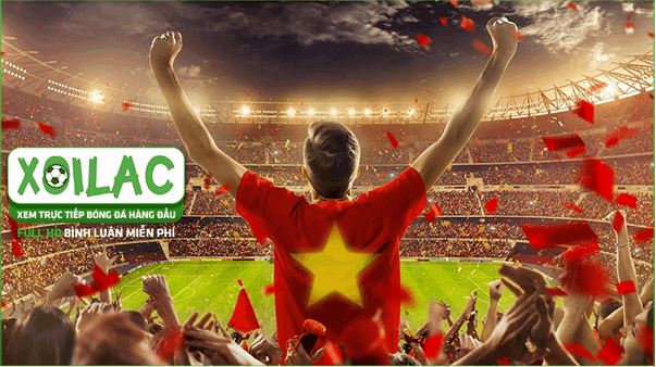 Theo dõi tại xoilac-lich-euro.live - Tưng bừng giải đấu cùng trực tiếp euro - Ảnh 3