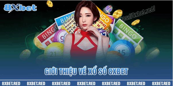 Khám Phá Các Loại Hình Xổ Số Phổ Biến Hiện Nay - Ảnh 1