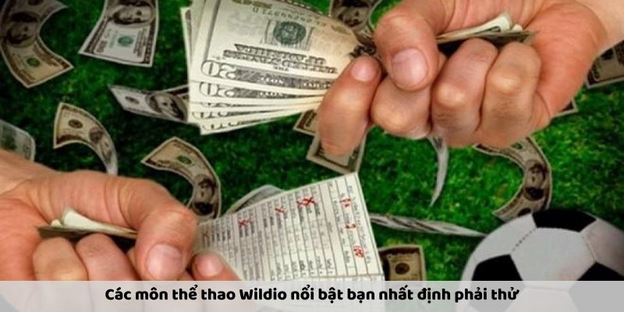 Thể thao Wildio: Khám Phá Các Trải Nghiệm Cá Cược Đỉnh Cao - Ảnh 1
