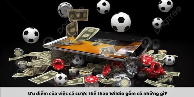 Thể thao Wildio: Khám Phá Các Trải Nghiệm Cá Cược Đỉnh Cao - Ảnh 2