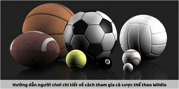 Thể thao Wildio: Khám Phá Các Trải Nghiệm Cá Cược Đỉnh Cao - Ảnh 3