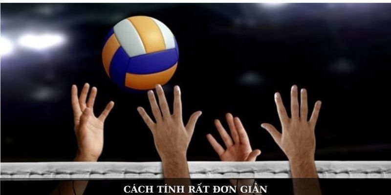 Cược Bóng Chuyền: Cách Chơi Và Mẹo Giúp Bạn Thắng Lớn - Ảnh 3