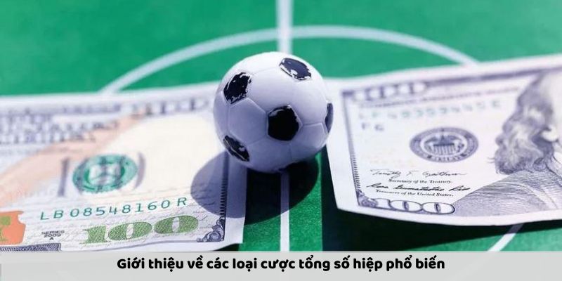 Cược Tổng Số Hiệp: Hướng Dẫn Chi Tiết Và Kinh Nghiệm Chơi - Ảnh 7