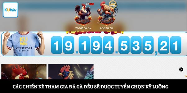 Đá Gà Miền Tây  - Môn Giải Trí Ấn Tượng Của Vùng Sông Nước - Ảnh 3