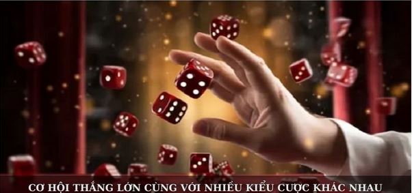 Kinh Nghiệm Chơi Tài Xỉu – Bí Kíp Vàng Giúp Bạn Thắng Lớn - Ảnh 2