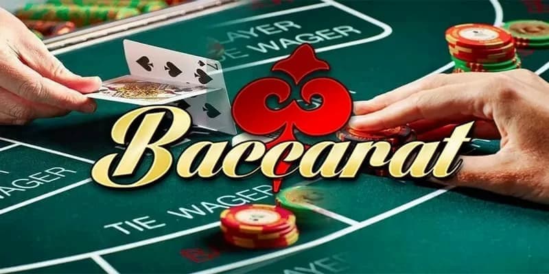 Baccarat SBObet – Trải nghiệm cá cược an toàn và minh bạch - Ảnh 1