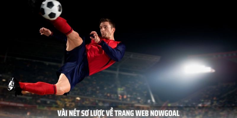 nowgoal - Trang Web Cập Nhật Tin Tức Bóng Đá Nhanh Chóng - Ảnh 2