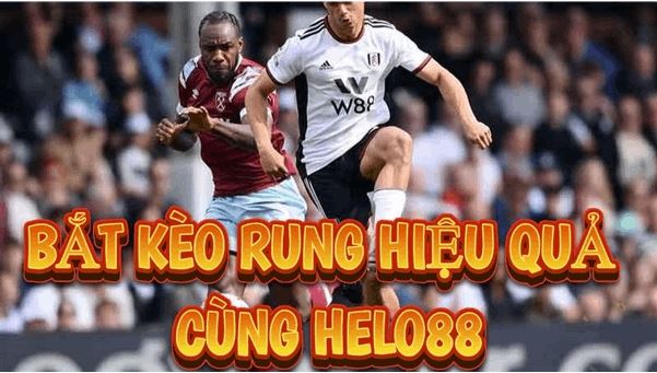 Kèo rung Helo88: Bắt trọn từng khoảnh khắc, kiếm tiền cực nhanh - Ảnh 1