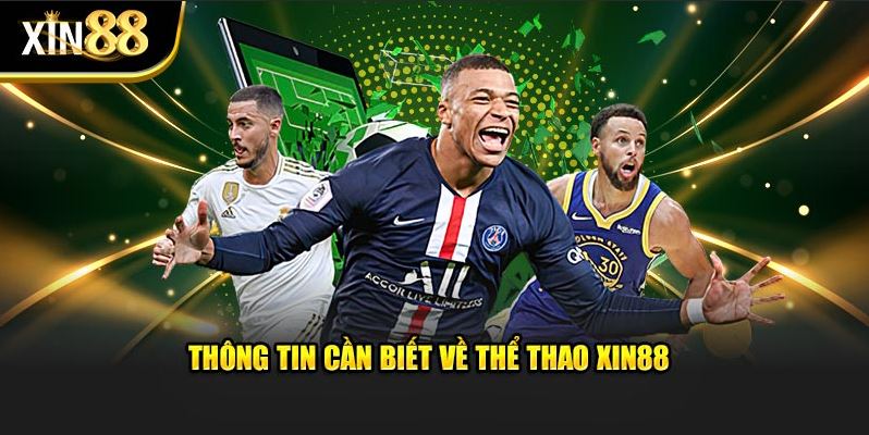 Thể Thao XIN88 – Hòa Mình Vào Những Giải Đấu Tầm Cỡ - Ảnh 1
