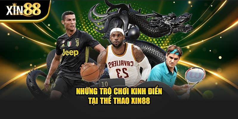 Thể Thao XIN88 – Hòa Mình Vào Những Giải Đấu Tầm Cỡ - Ảnh 3