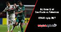 Dự đoán tỷ số Sao Paulo vs Palmeiras, 05h30 ngày 06/07