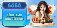 Cá cược thể thao và nhận tiền tặng trải nghiệm trên 6686 - 6686vn.bet
