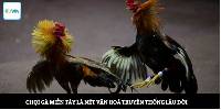 Đá Gà Miền Tây  - Môn Giải Trí Ấn Tượng Của Vùng Sông Nước
