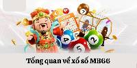 Xổ Số MB66 - Nền Tảng Cung Cấp Kết Quả Xổ Số Chính Xác Và Nhanh Chóng